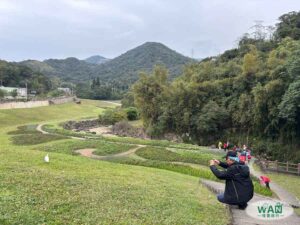 大溝溪步道