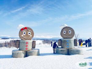 hokkaido-guide-1
