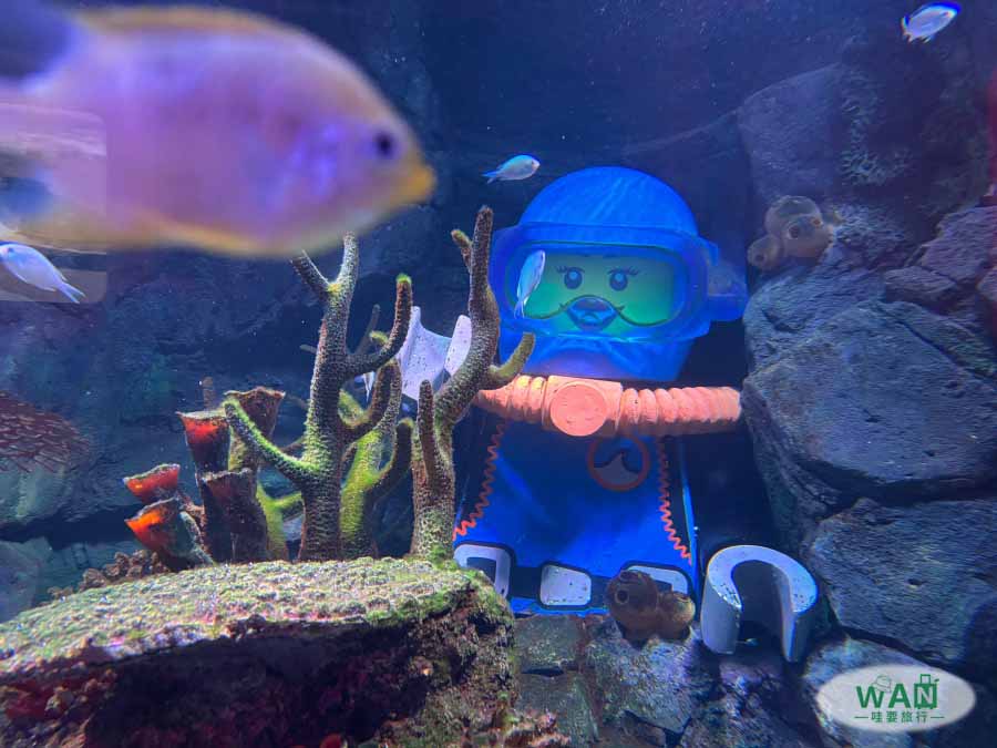 樂高水族館