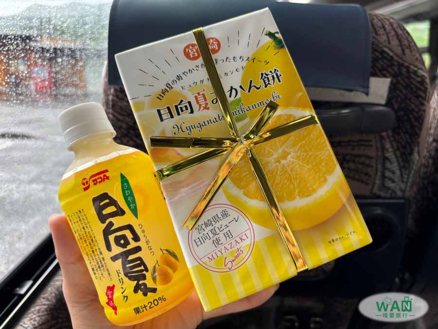 宮崎伴手禮日向夏