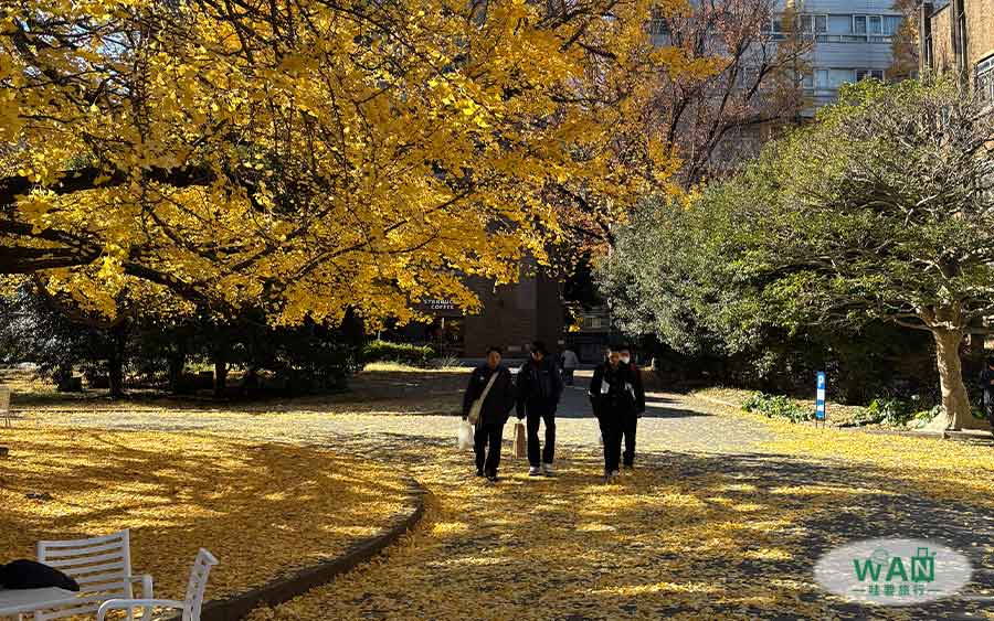 japan-working-holiday-life