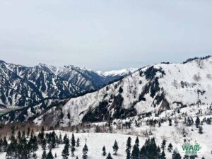 長野景點