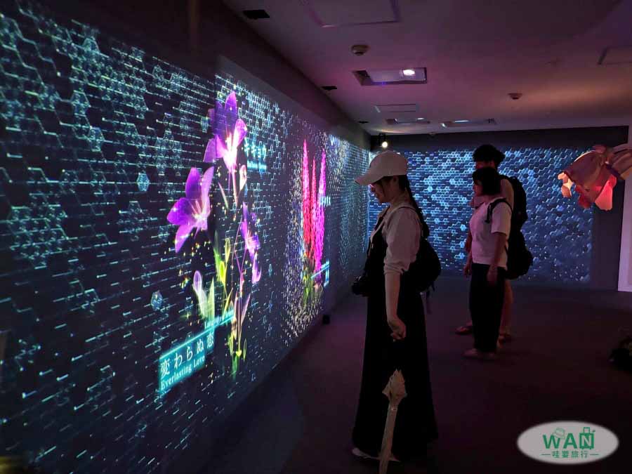 九州豪斯登堡光影設施