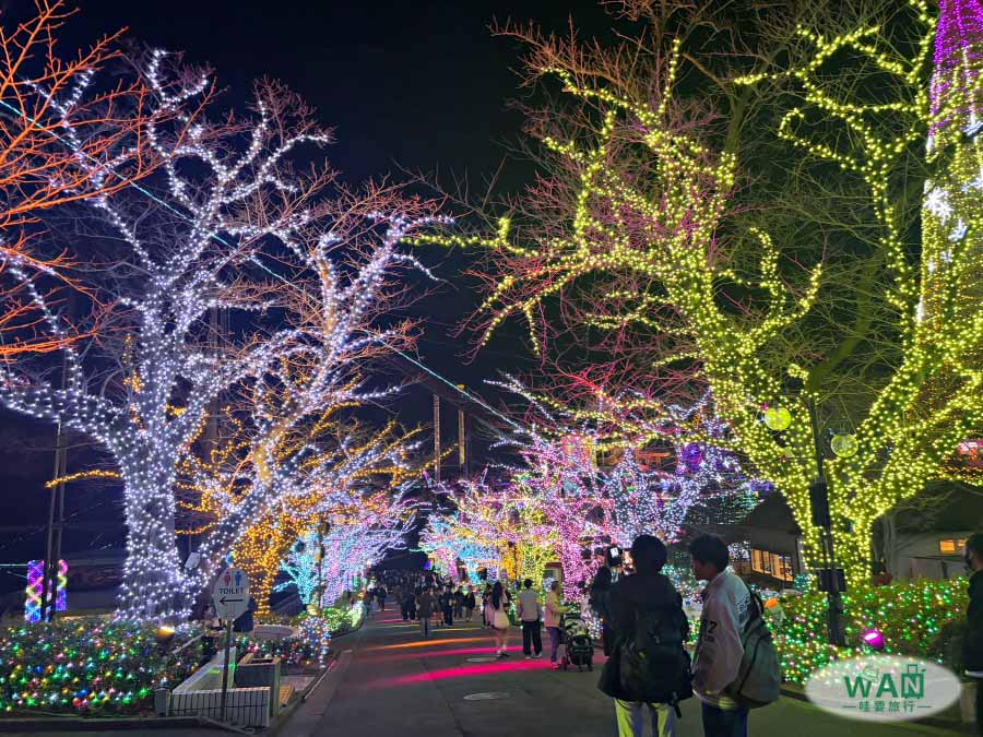 讀賣樂園燈光秀