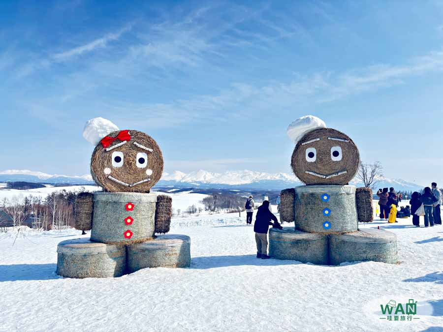 富良野美瑛一日遊