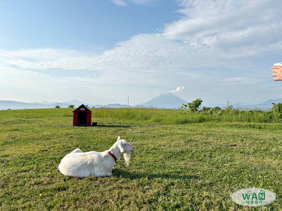 Lake Hill Farm農場參觀體驗