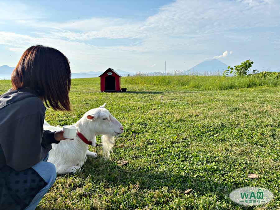北海道Lake Hill Farm冰淇淋農場