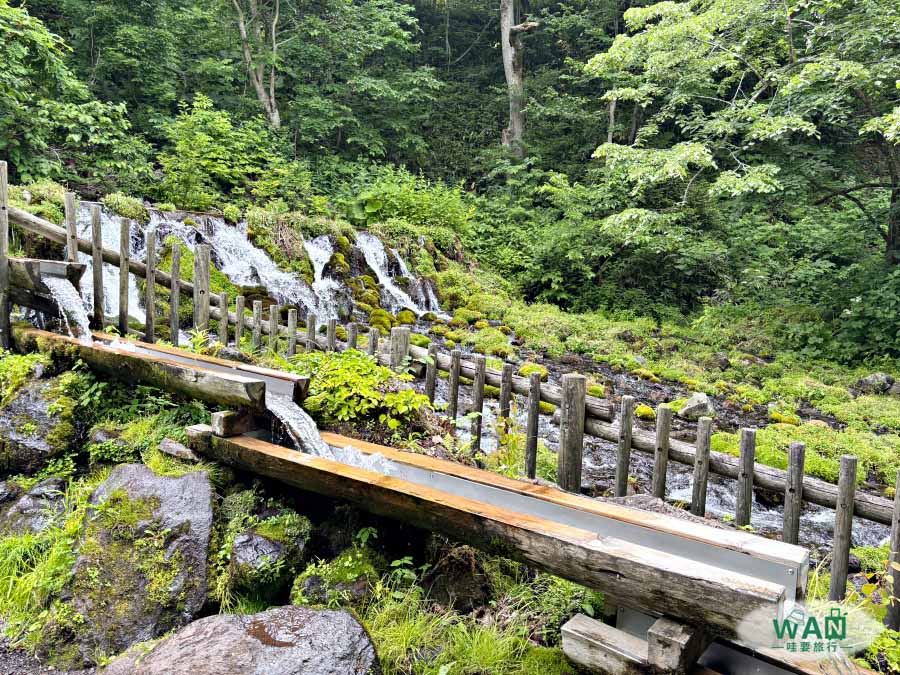 羊蹄山名水公園湧泉水